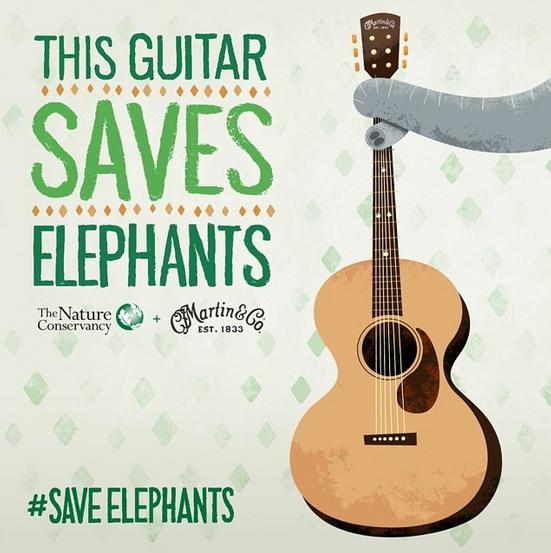 SaveElephants