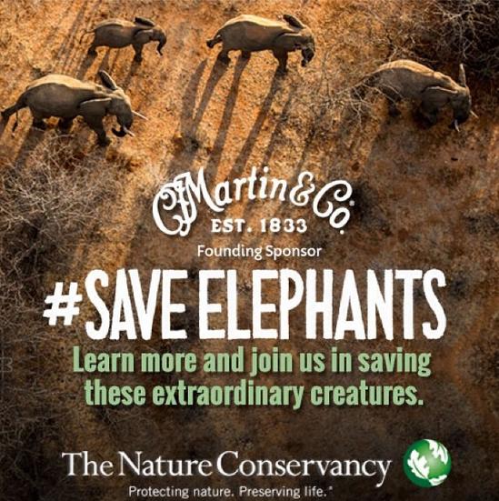 SaveElephants2